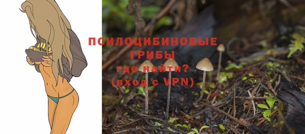 герыч Арсеньев