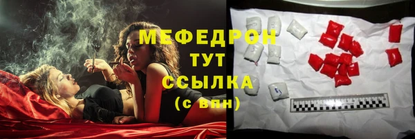 spice Дмитриев